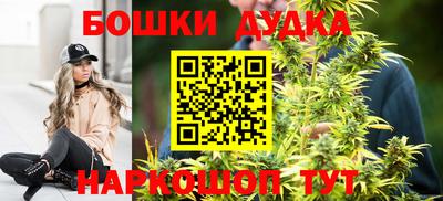 гашиш Кингисепп