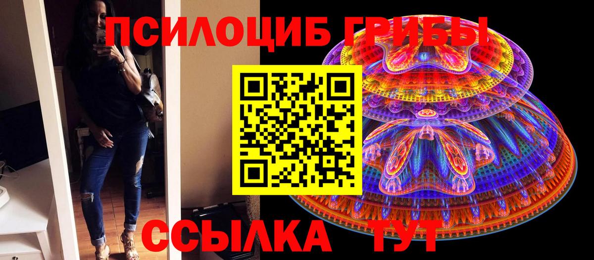 Псилоцибиновые грибы Psilocybine cubensis  где купить наркотик  Кстово  Вход с VPN 